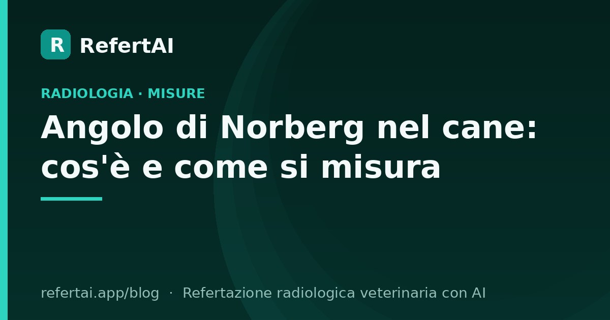 Angolo di Norberg nel cane: cos'è e come si misura