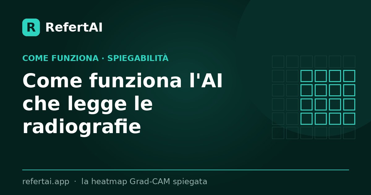 Come funziona l'AI che legge le radiografie: la heatmap Grad-CAM spiegata