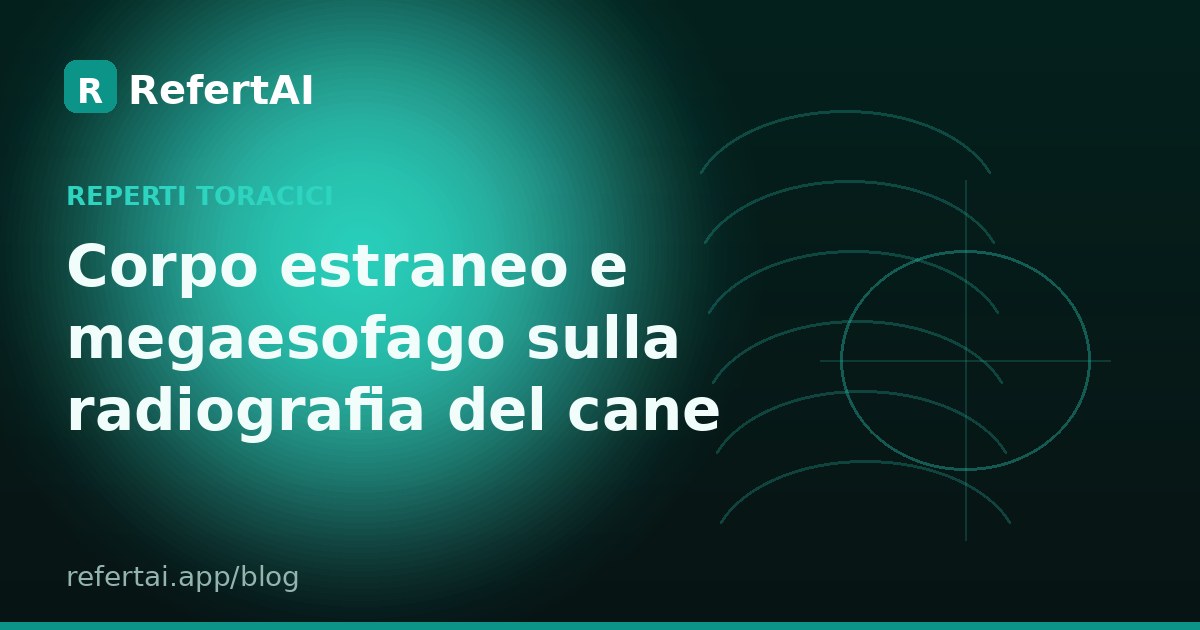 Corpo estraneo e megaesofago sulla radiografia del torace del cane