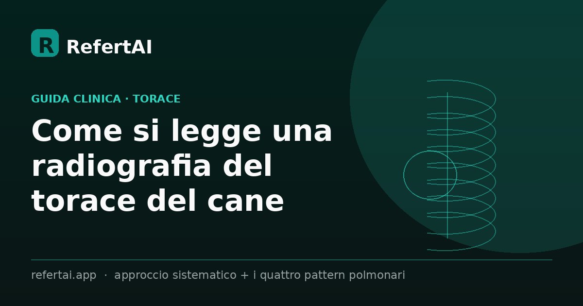 Come si legge una radiografia del torace del cane: guida passo-passo