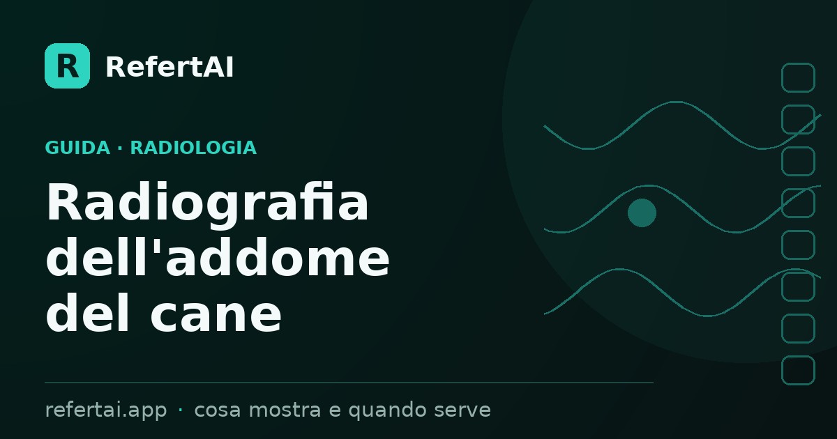 Radiografia dell'addome del cane: cosa mostra e quando serve