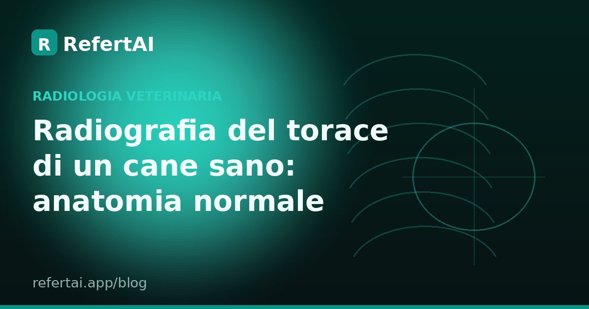 Come interpretare la radiografia di un cane sano