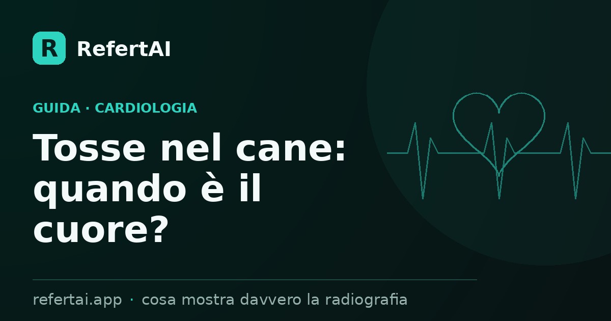 Tosse nel cane: quando è il cuore? Cosa mostra la radiografia